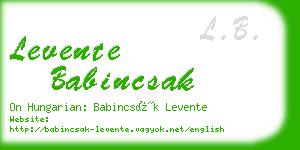 levente babincsak business card